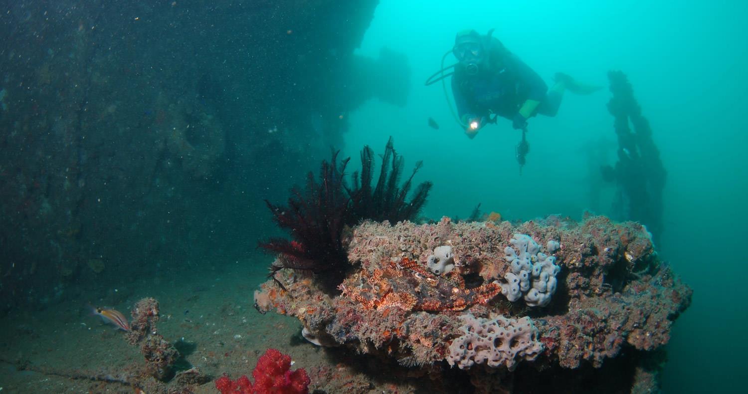 Sunreef Diving