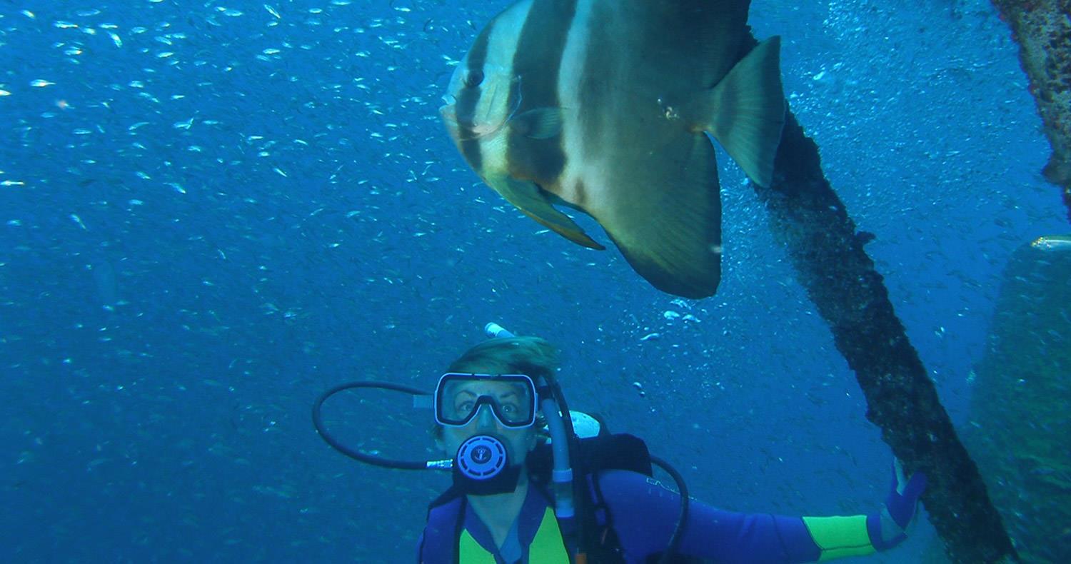 Sunreef Diving