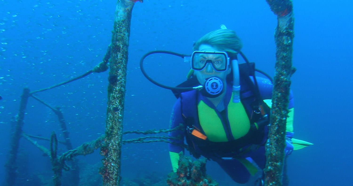 Sunreef Diving